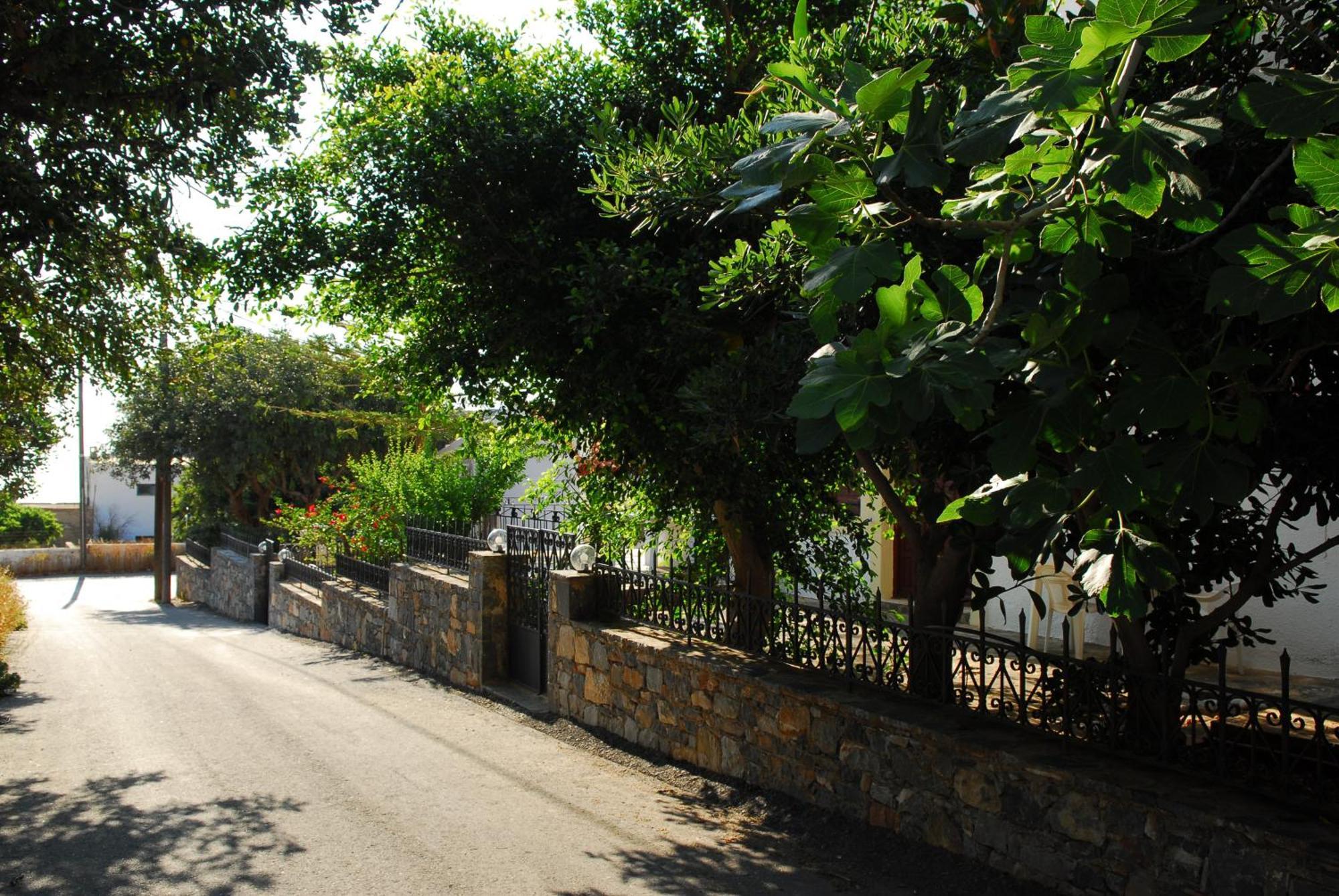 Athina Villas エロウンダ エクステリア 写真